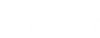 paloalto logo